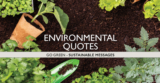 Inspirational Environmental Quotes for a Simpler Life