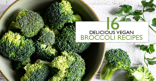 16 Delicious Healthy Vegan Broccoli Recipes - OwnMuse